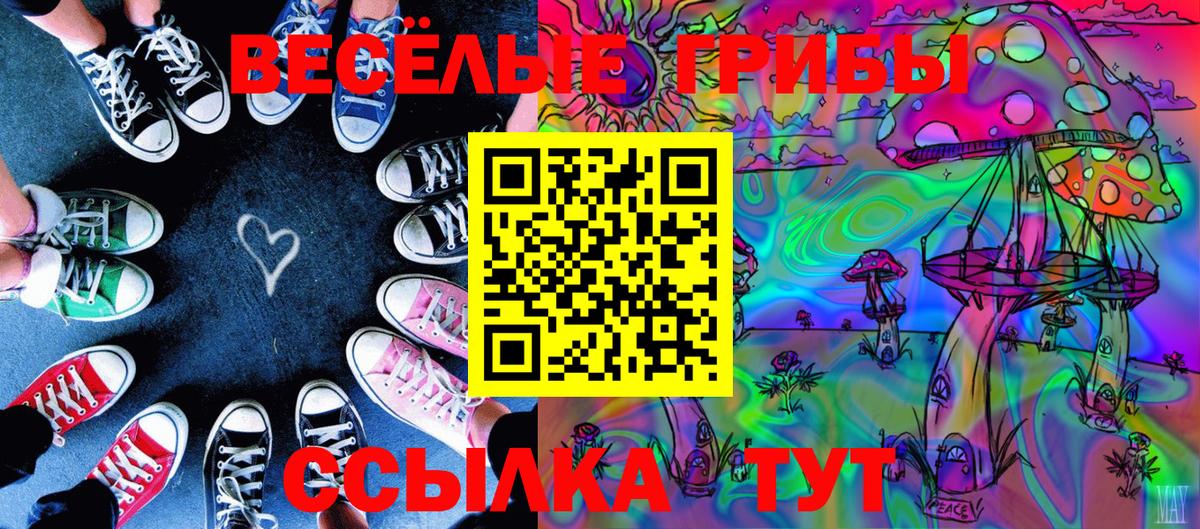 Галлюциногенные грибы Cubensis  Вход с VPN  наркота  Галлюциногенные грибы GOLDEN TEACHER  Добрянка 